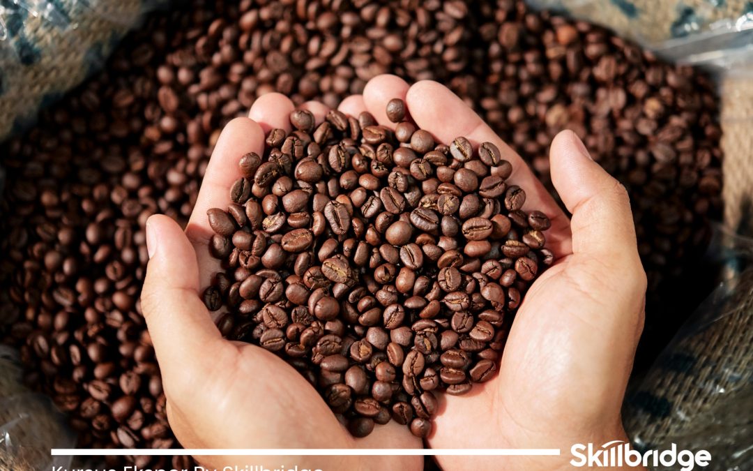 Peluang Ekspor Kopi Arabika Gayo Primadona dari Tanah Aceh