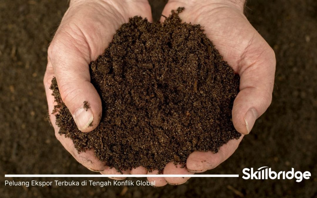 Peluang Ekspor Terbuka di Tengah Konflik Global: Pupuk Indonesia Jadi Incaran Dunia